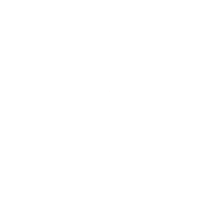 Logo Pokki Travels