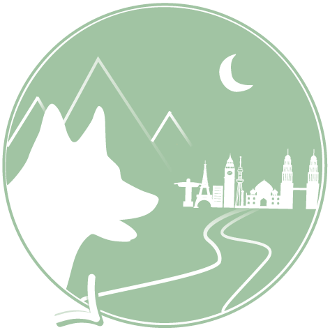 Logo Pokki Travels