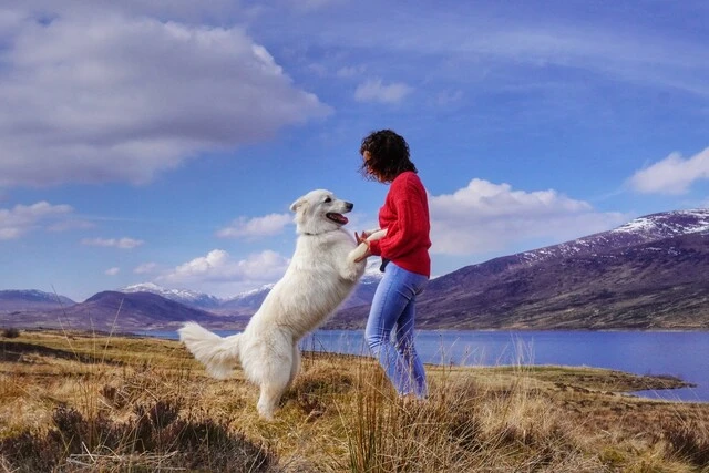 Un chien et son maître jouant devant un lac et montage d'Écosse