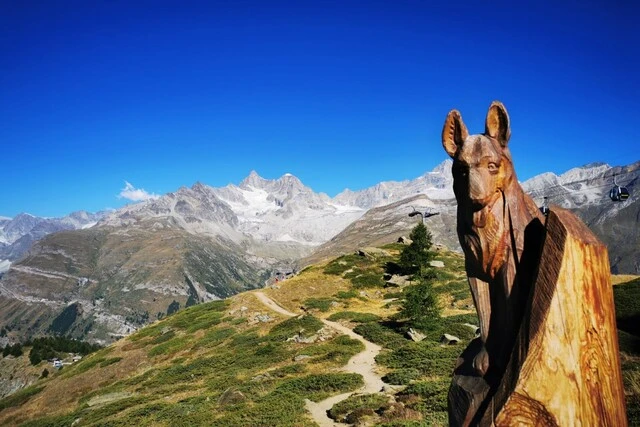 Status de chien dans une montagne lors d'un voyage dans les Alpes