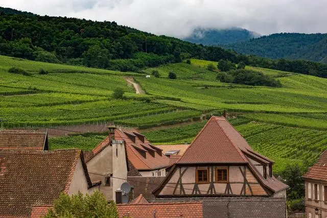 Paysage d'Alsace