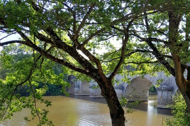 Photo d'un pont et arbres le long de la Loire