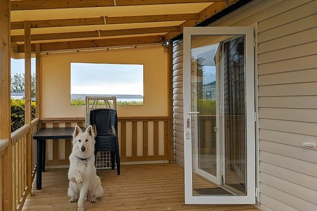 Photo d'un chien sur la terrasse d'un mobilehome
